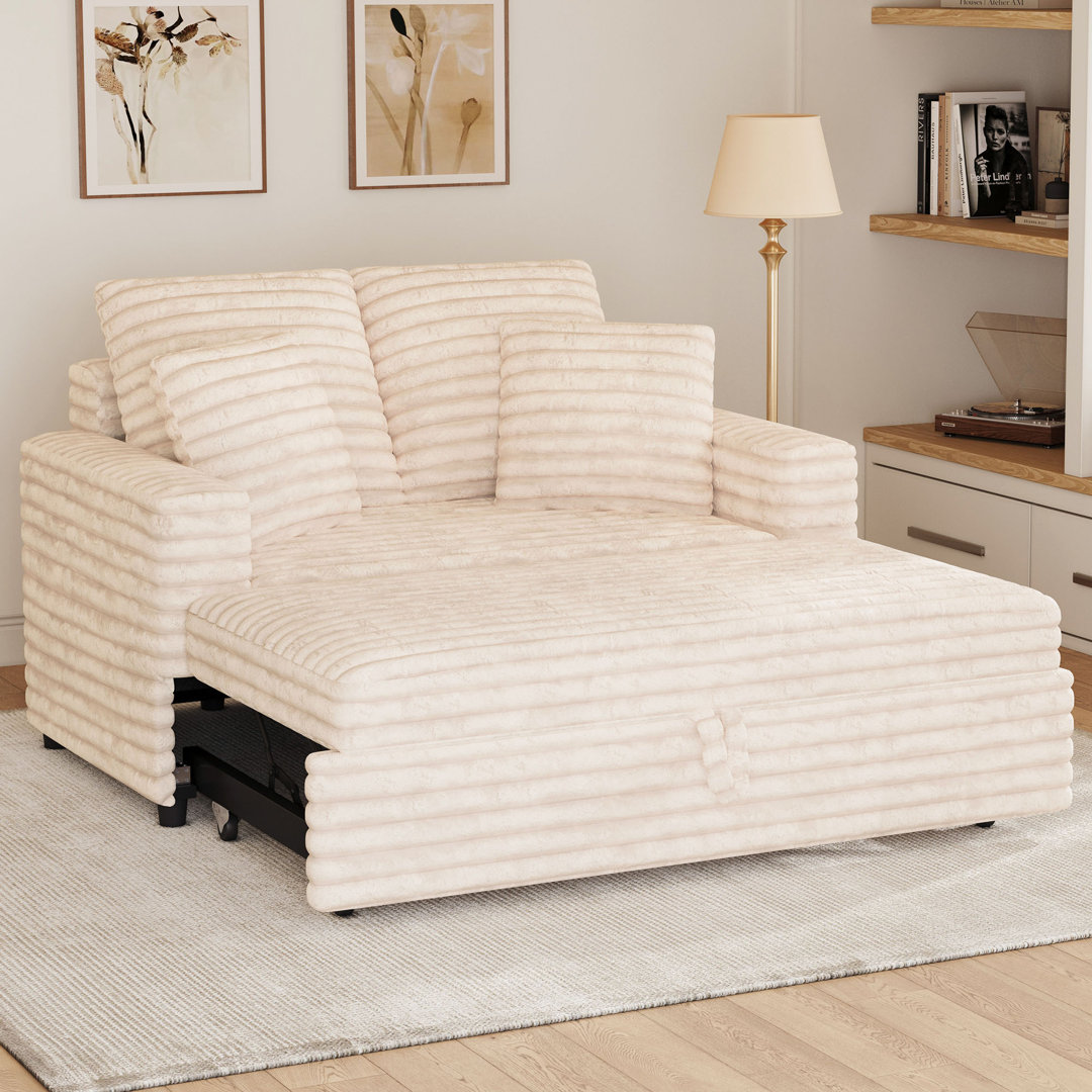 Plush Soft Double Seat Sofa Bed with Removable Cushion